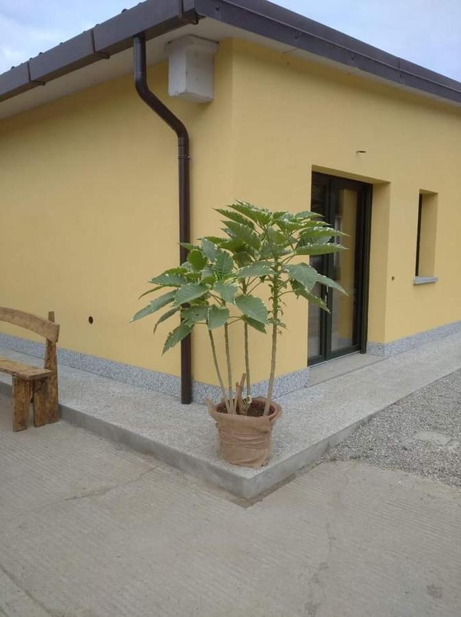 Azienda Agrituristica Scotti Somma Lombardo Exterior foto